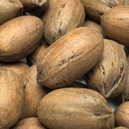 Pecans (In Shell) per lb