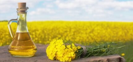 Refined Canola Oil